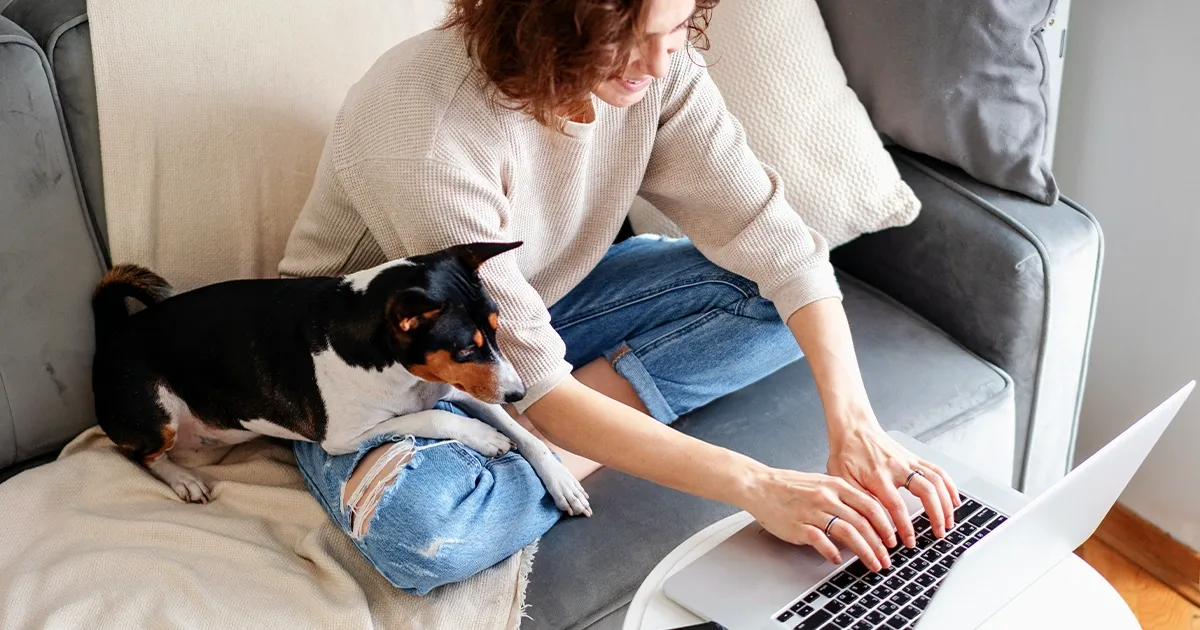 Ambiente reservado e sereno com notebook preparado para consulta online em saúde mental